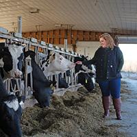 Sabrina and cows