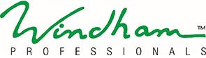 Windham Professionals logo