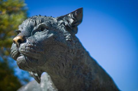 wildcat statue